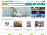 Avis 1001puzzles