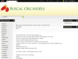 Avis buscalorchidees
