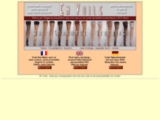 Avis evboutique