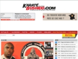 Avis Karatebushido