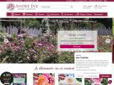 Avis Roses-andre-eve